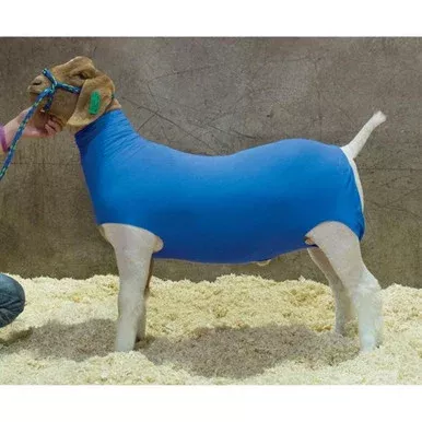Weaver Livestock Cotton Goat Tube – Medium – Blue