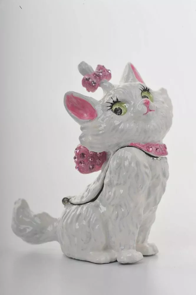 White and Pink Cat