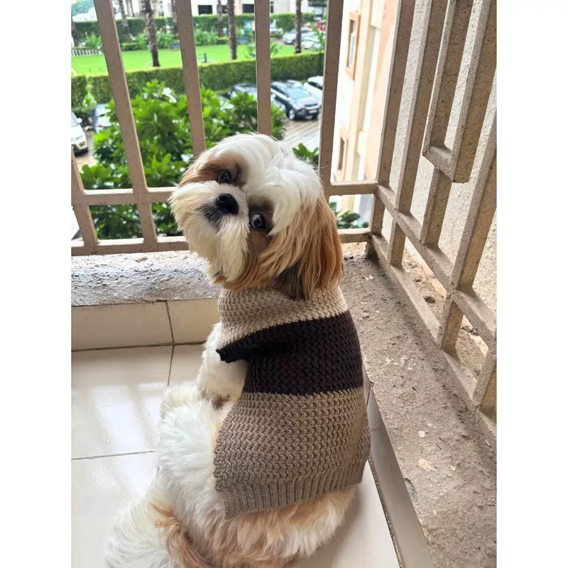 Winter Sweater For Dogs and Cats Brown