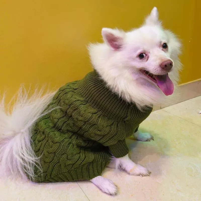 Winter Sweater For Dogs and Cats Green