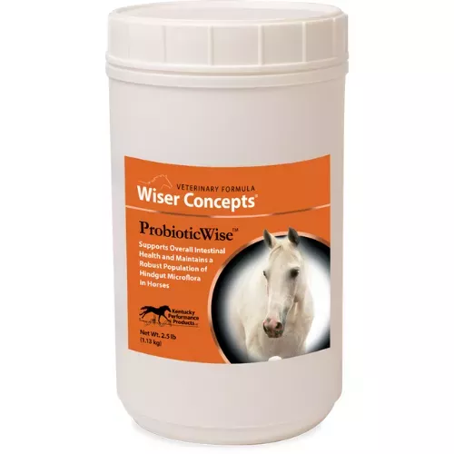 Wiser Concepts ProbioticWise
