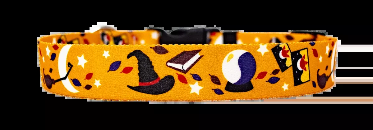 Witchy Ways Dog Collar