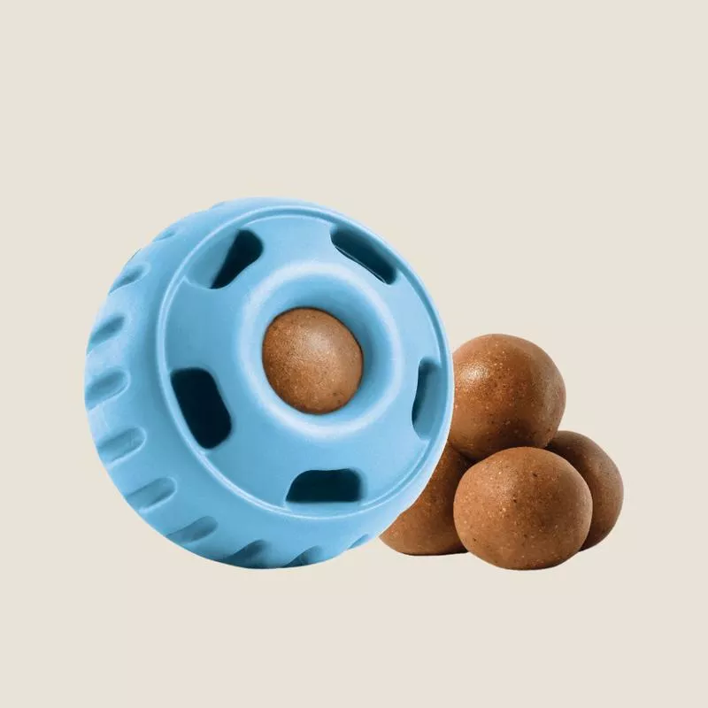 Woof – Blue Pupsicle