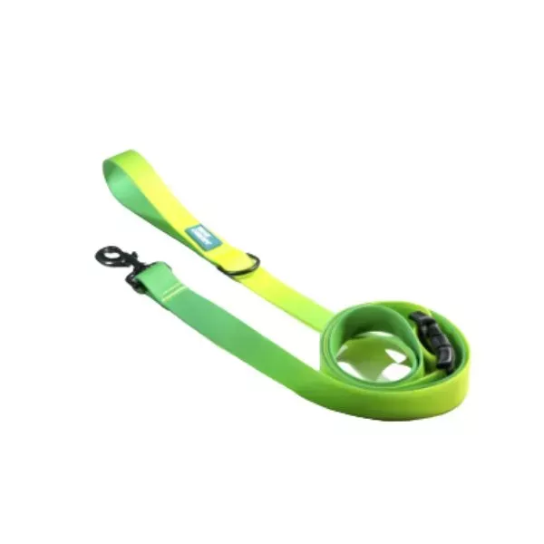 Woof Concept Aqua Collection Dog Leashes - Lime Margarita