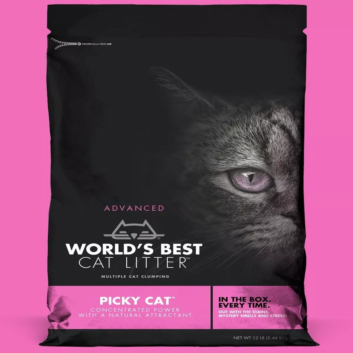 World's Best PICKY CATTM