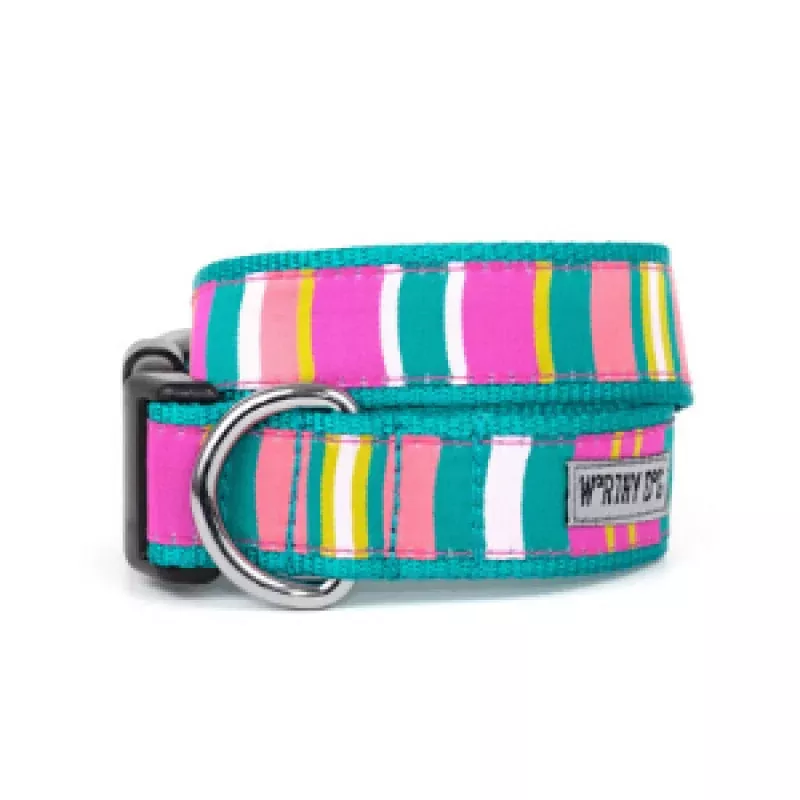 The Worthy Dog Fiesta Stripe Dog Collar