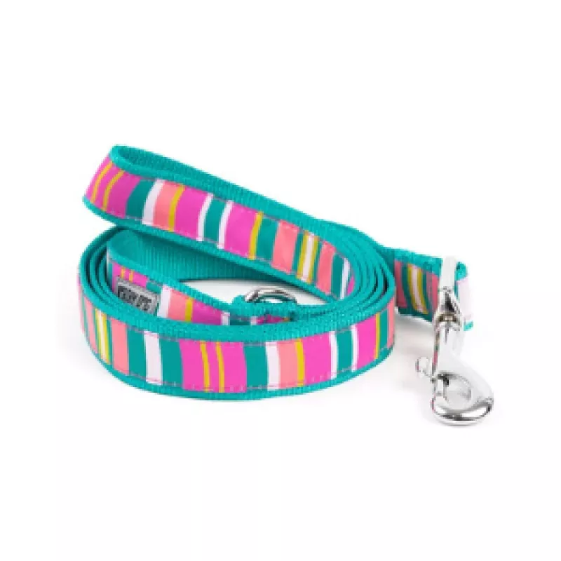 The Worthy Dog Fiesta Stripe Dog Lead