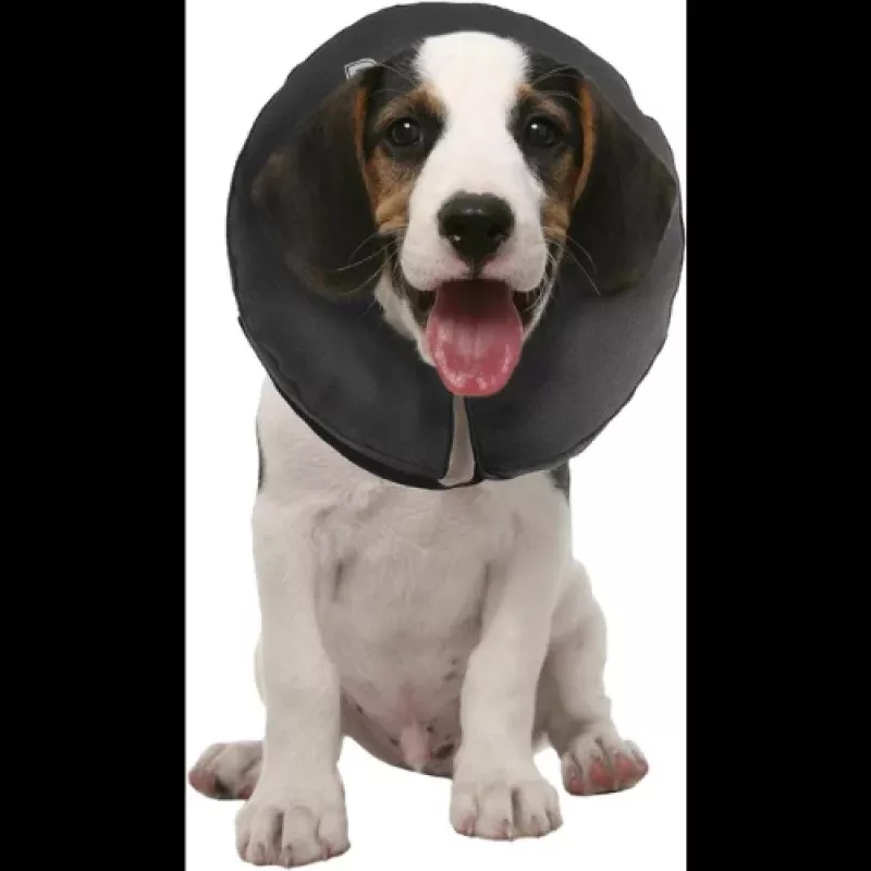 ZenPet ZenCollar Inflatable Recovery Dog & Cat Collar