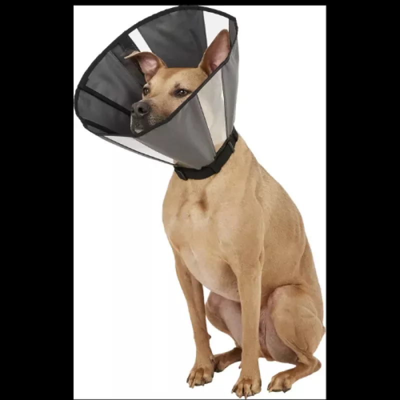 ZenPet ZenCone Soft Recovery Dog & Cat Collar